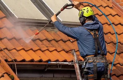 Démoussage et hydrofuge de toiture à Bussières
